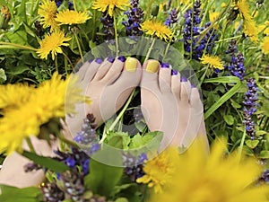 Beautiful multi-colored yellow, blue, purple pedicure on a female feet with different summer flowers