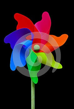 Beautiful multi colors pinwheel on black background
