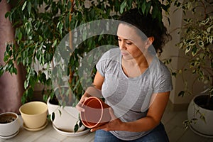 Beautiful multi-ethnic woman, amateur gardener floriculturist holding a clay pot, enjoying floricultural hobby indoor