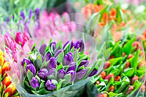 Beautiful multicolored flower bouquets. Various fresh tulips at flower shop. Wholesale or retail flower store. Plant warehouse. Fl