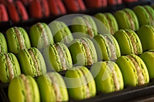 Beautiful Multicolored Macarons in Gift Box