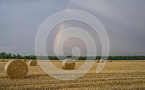 Beautiful multicolored rainbow over a sloping wheat field with large rolls of straw