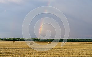 Beautiful multicolored rainbow over a sloping wheat field with large rolls of straw