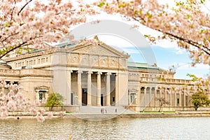 Beautiful Museum of Science and Industry captured through the blossomed trees in Chicago, USA