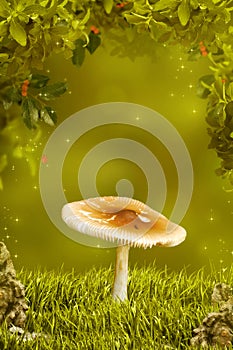 Beautiful mushroom in fantastic wood