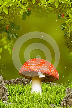 Beautiful mushroom in fantastic wood