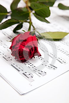 Beautiful music. Cropped shot of a red rose lying atop sheet music.