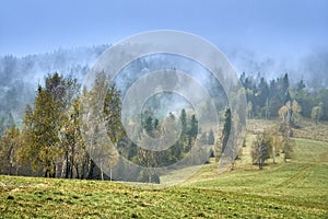 A beautiful mysterious view of the forest in the Bieszczady mountains Poland on a misty autumn day