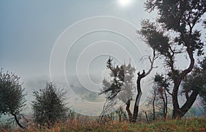 Beautiful mystical landscape with fog in autumn