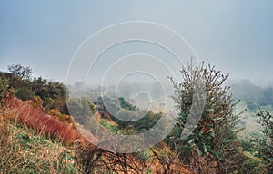 Beautiful mystical landscape with fog in autumn