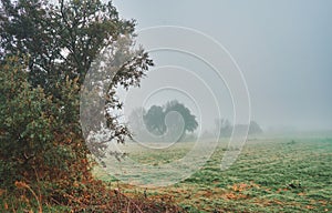 Beautiful mystical landscape with fog in autumn