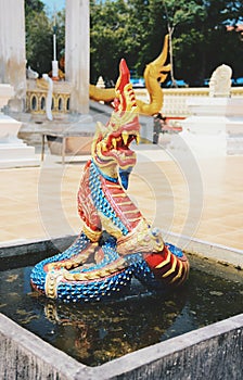 The beautiful of Nagas
