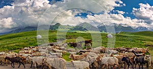 Beautiful Nalati Grassland, Xinjiang, China