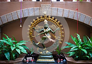 Beautiful Nataraja idol with natural decoration