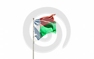 Madacascar national flag on white background isolated