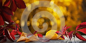 Beautiful natural autumn background with colorful leaves on a wooden table and blurred trees in the park. Blank for