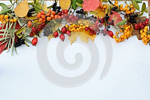 Beautiful natural autumn border with space for text.