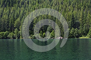 Beautiful Natural backdrop photo of a pristine lake in the Pacific Northwest line by thick pine tree forest.