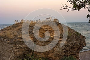 Beautiful natural background of natural shell stone on the seashore. Spongy structure of the surface of the stone shell