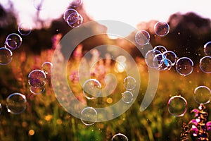 Beautiful natural background with summer clear green meadow with pink flowers and soap bubbles brightly shimmer and fly in the air