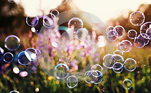 Beautiful natural background with summer clear green meadow with pink flowers and soap bubbles brightly shimmer and fly in the air