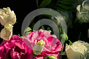 Beautiful natural background for valentine day, 8 march, and love theme, colorful bouquet of different fresh roses