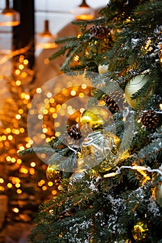 Beautiful natural Christmas tree with Golden balls and garlands. The defocus of the Golden lights from the garland.