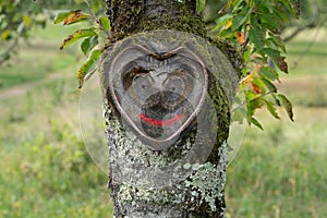 Beautiful natural heart with smiling face in old tree bark with moss and leaves in green nature