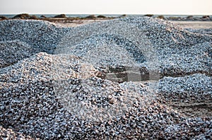 Beautiful and natural hill of chipichipi shells in coche margarita island venezuela