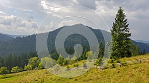 Beautiful natural landscape in green mountains and fields