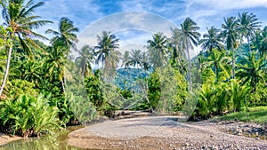 A beautiful natural landscape on Mindoro Island in the Philippines. photo