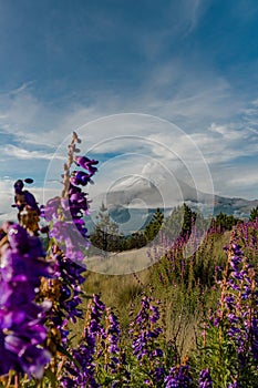 beautiful natural landscape of popocatepetl volcano