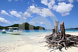 Beautiful natural landscape of the rock islands at Micronesian Country photo