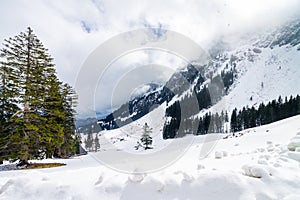 Beautiful and natural landscape winter wallpaper in mountains. Pine trees and snow on cloudy day in Mt. Pilatus, Lucern.