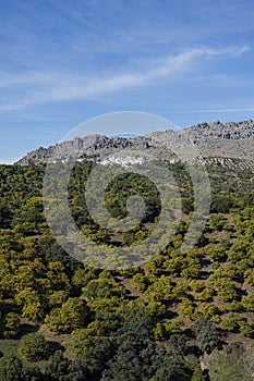 Beautiful natural landscapes of Spain, in the province of Mlaga, Andalusia Genal Valley