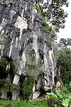 Beautiful natural limestone cave entrance in Malaysia. Limestone Hill and Cave.Jungle covered and dramatic rounded hill and huge h