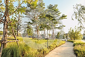 Beautiful natural outdoor landscape image of curved path in peaceful public garden with trees,lake,gazebo,shrubs and grass on