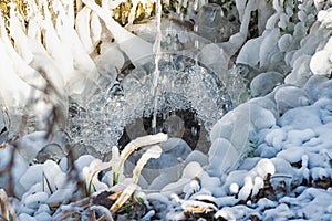 Beautiful natural patterns of frost crystals on the grass, leaves and branches hanging on the ice surface of a frozen lake.