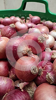 Beautiful natural pic of red onion in India