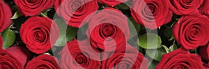 Beautiful natural red roses flower background for special occasions banner.generative ai