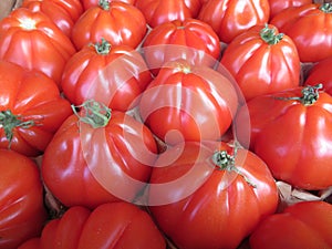 Beautiful natural red tomatoes with great flavor delicious natural photo