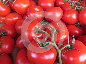 Beautiful natural red tomatoes with great flavor delicious natural