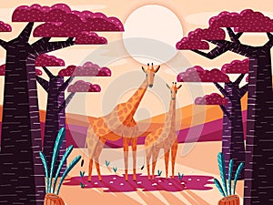 Beautiful natural savannah landscape with giraffes and baobab trees. Panoramic colorful illustration with wild animals.