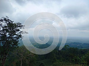 Beautiful natural scenery with lots of trees and slightly overcast clouds