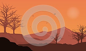 Beautiful natural scenery on warm afternoons. Vector illustration