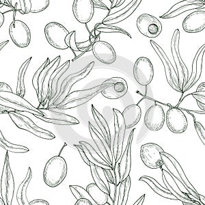 Beautiful natural seamless pattern with olive tree branches with leaves and ripe fruits or drupes hand drawn with