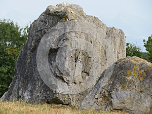 Beautiful natural stone with a lion`s face or something like that without being a sculpture