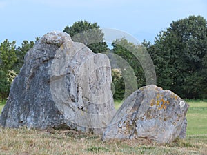 Beautiful natural stone with a lion`s face or something like that without being a sculpture