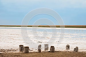 Beautiful natural textural background on a salt lake, river. Salt lake Elton, Russia, before rain and thunder, sunset on the water