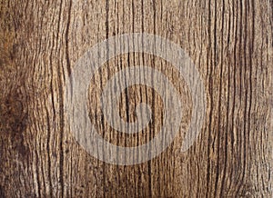beautiful natural texture of bark wood plank use as nature wooden textured ,background or backdrop